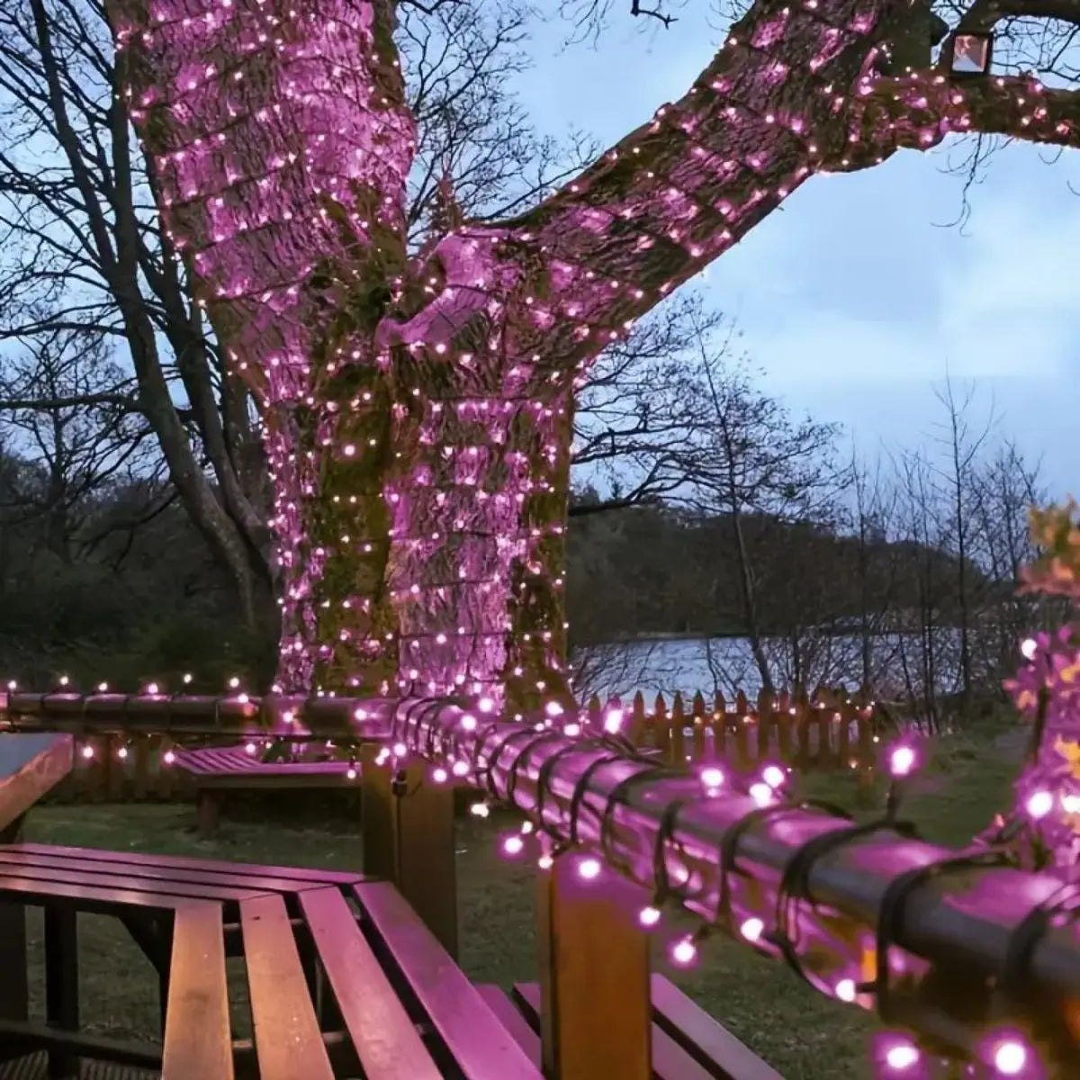 39FT Sparkling Pink Fairy Lights - 100 Shimmering LEDs, 8 Enchanting Modes - Perfect for Christmas, Weddings, Valentines Day