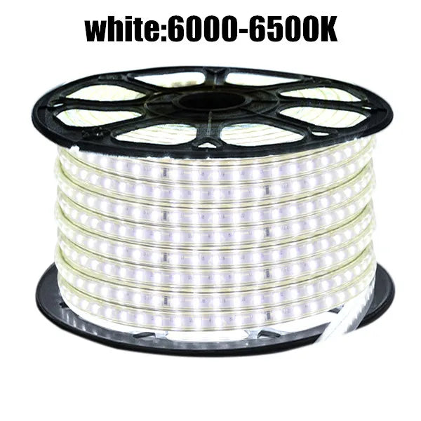 LED Strip EU 220 240V Waterproof IP67 Outdoor Rope White/Warm White/Blue SMD 3014 120LEDs/m LED Light Strip +EU Switch plug