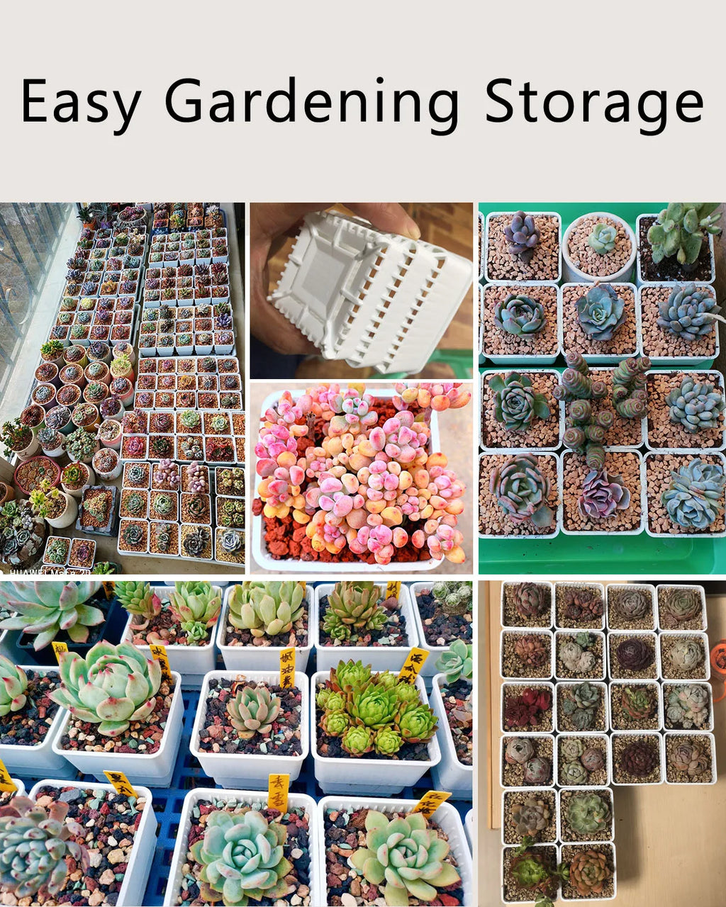 Meshpot Square Plastic Succulents Planter Pots With Tray Set,Nursery Pot Cactus Plant Pot Garden Pot