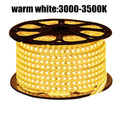 LED Strip EU 220 240V Waterproof IP67 Outdoor Rope White/Warm White/Blue SMD 3014 120LEDs/m LED Light Strip +EU Switch plug