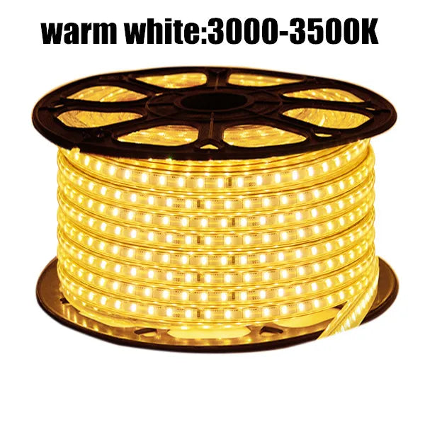 LED Strip EU 220 240V Waterproof IP67 Outdoor Rope White/Warm White/Blue SMD 3014 120LEDs/m LED Light Strip +EU Switch plug