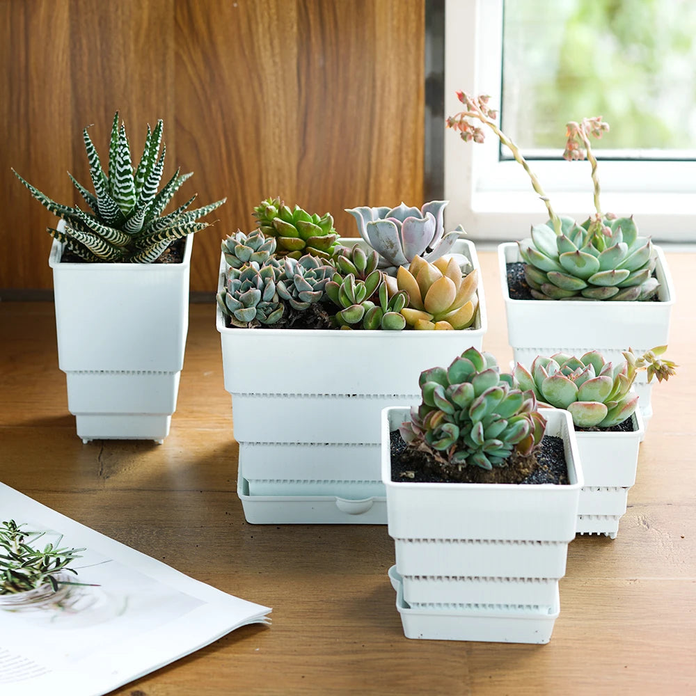 Meshpot Square Plastic Succulents Planter Pots With Tray Set,Nursery Pot Cactus Plant Pot Garden Pot