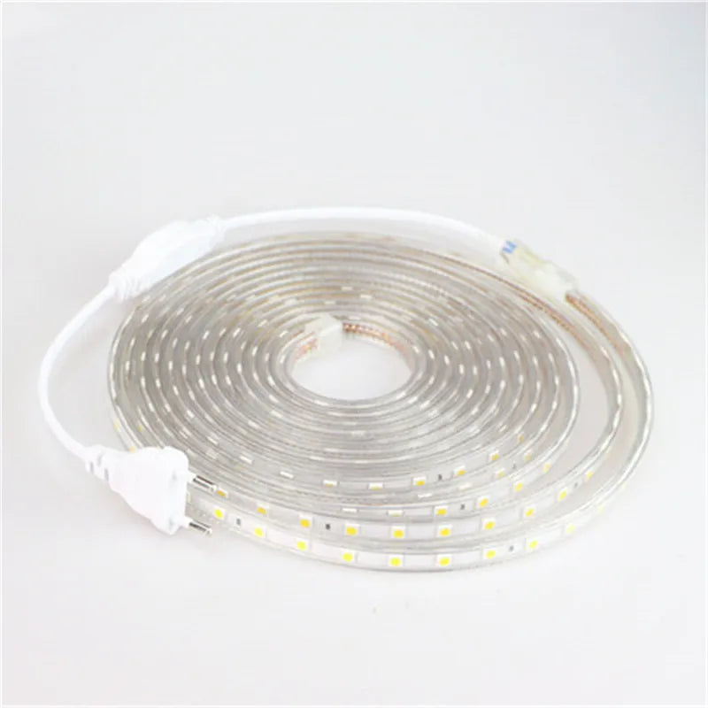 LED Strip 5050 220V Waterproof Flexible LED light Tape 220V lamp Outdoor String 1M 2M 3M 4M 5M 10M 12M 15M 20M 25M 60LEDs/M