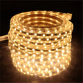 LED Strip 5050 220V Waterproof Flexible LED light Tape 220V lamp Outdoor String 1M 2M 3M 4M 5M 10M 12M 15M 20M 25M 60LEDs/M