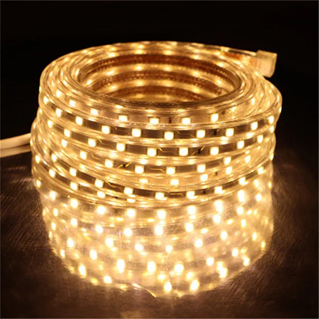LED Strip 5050 220V Waterproof Flexible LED light Tape 220V lamp Outdoor String 1M 2M 3M 4M 5M 10M 12M 15M 20M 25M 60LEDs/M