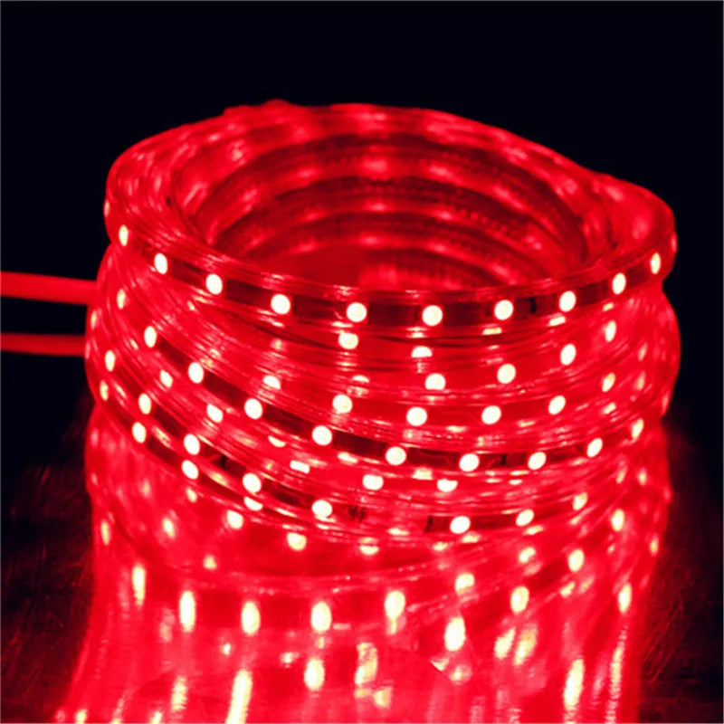 LED Strip 5050 220V Waterproof Flexible LED light Tape 220V lamp Outdoor String 1M 2M 3M 4M 5M 10M 12M 15M 20M 25M 60LEDs/M