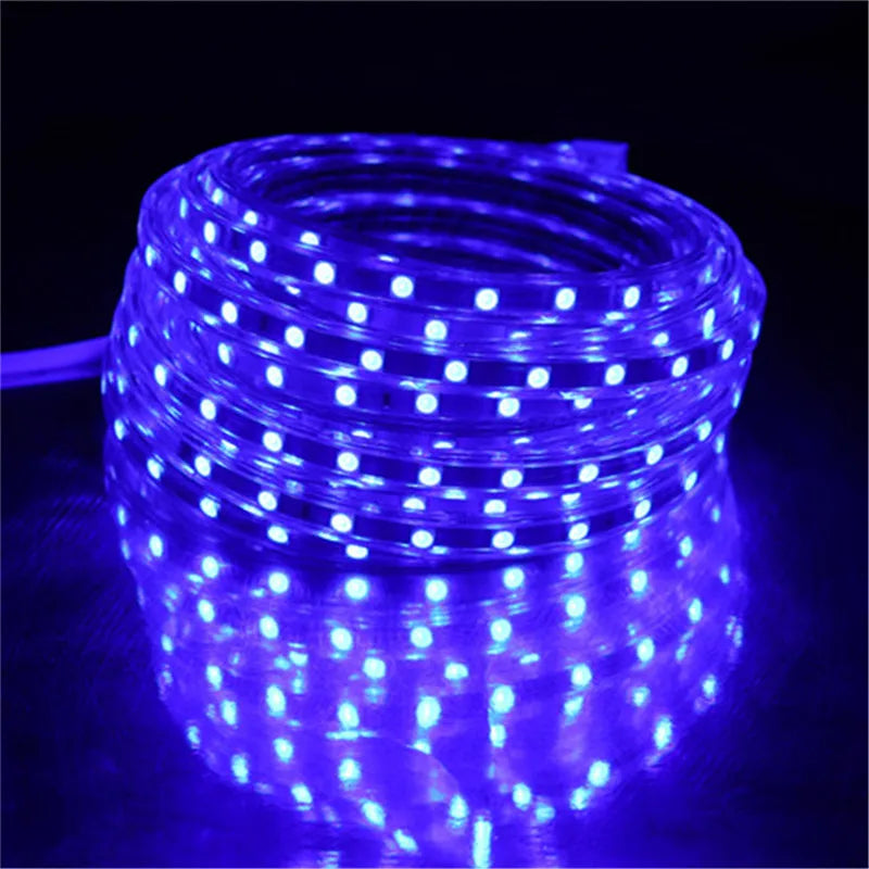 LED Strip 5050 220V Waterproof Flexible LED light Tape 220V lamp Outdoor String 1M 2M 3M 4M 5M 10M 12M 15M 20M 25M 60LEDs/M