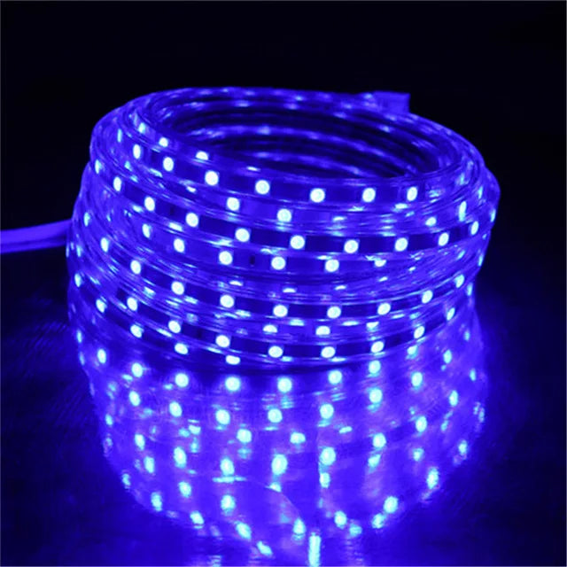 LED Strip 5050 220V Waterproof Flexible LED light Tape 220V lamp Outdoor String 1M 2M 3M 4M 5M 10M 12M 15M 20M 25M 60LEDs/M