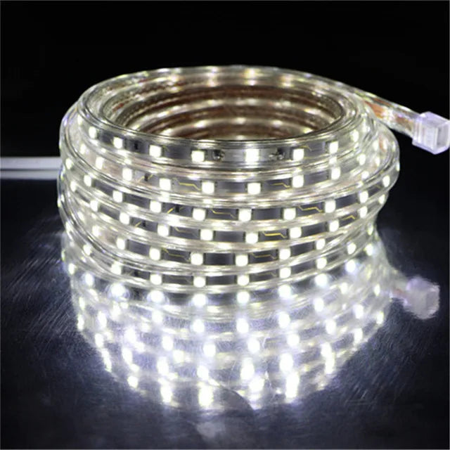 LED Strip 5050 220V Waterproof Flexible LED light Tape 220V lamp Outdoor String 1M 2M 3M 4M 5M 10M 12M 15M 20M 25M 60LEDs/M