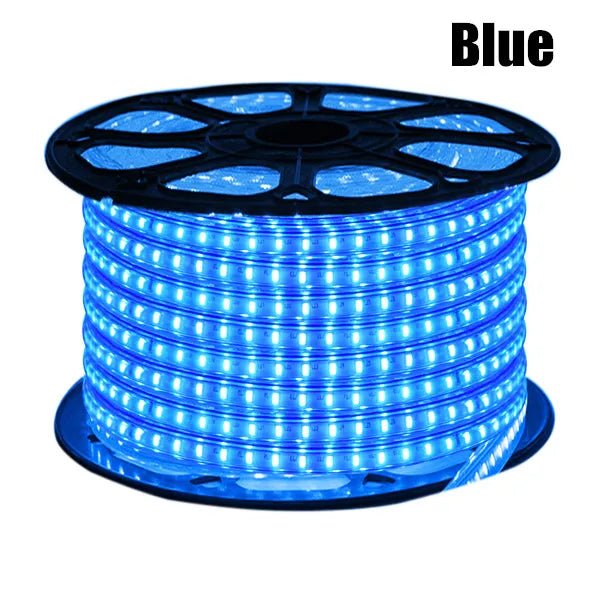 LED Strip EU 220 240V Waterproof IP67 Outdoor Rope White/Warm White/Blue SMD 3014 120LEDs/m LED Light Strip +EU Switch plug