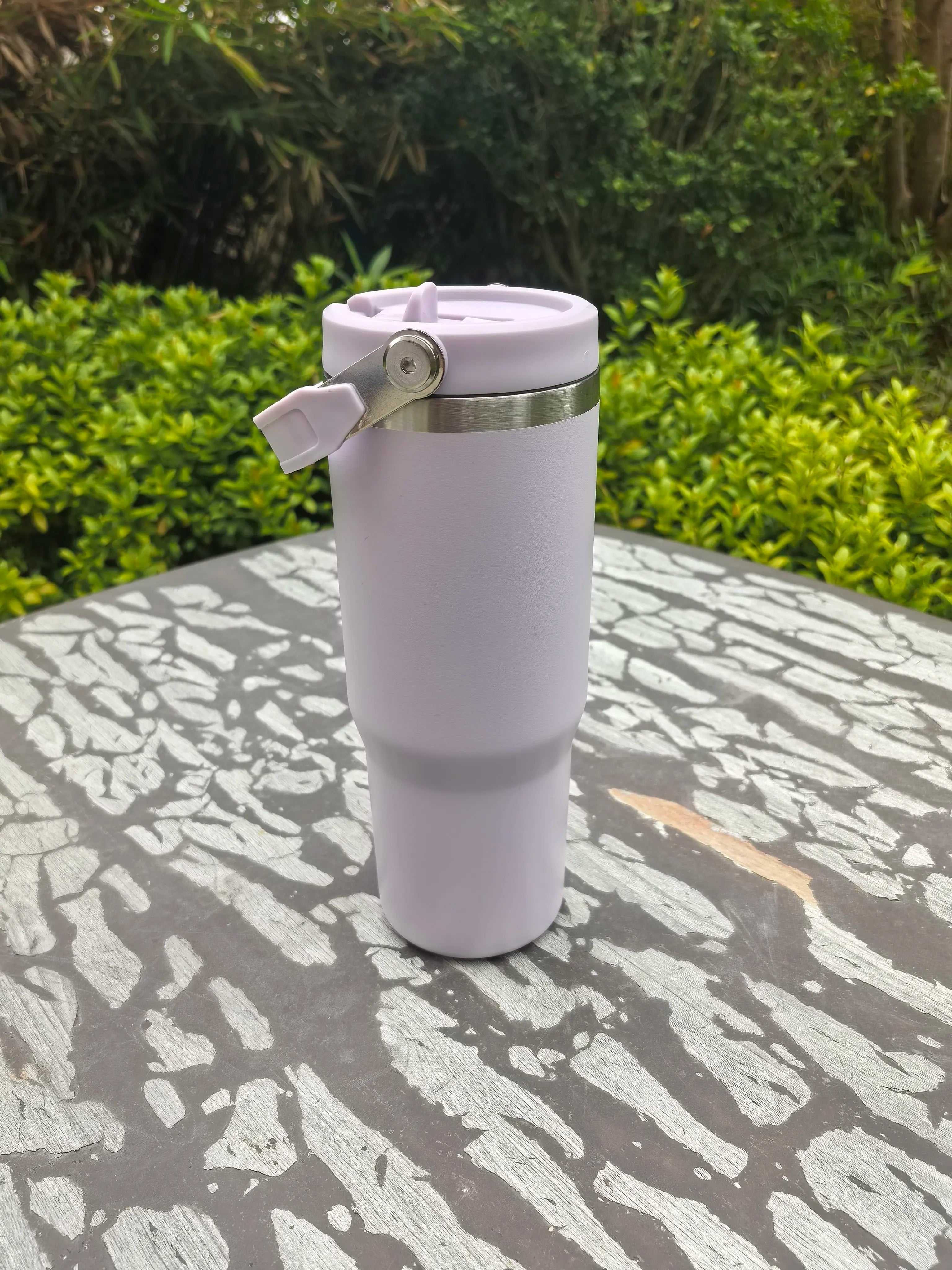 30oz Stainless Steel Vacuum Insulated Tumbler with Handle Straw for Travel Outdoor