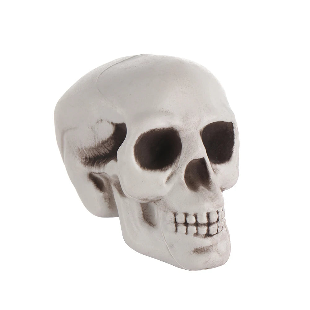 1PC Fashion Terrible Halloween Props Skull Head All Size Plastic Human Skeleton Party Decoration Game Supplies Hanging Decor