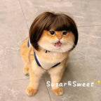 Cat Wig Dog Headdress Funny Cosplay Costume, Cute Pet Props Head Accessories