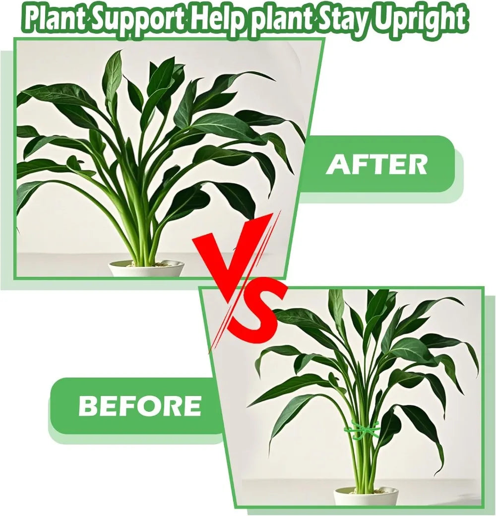 Plant Stem Support Frame Climbing Houseplant Stand Stakes Plastic Garden No Stake Trellis Indoor Plant Holder Rack Hoops