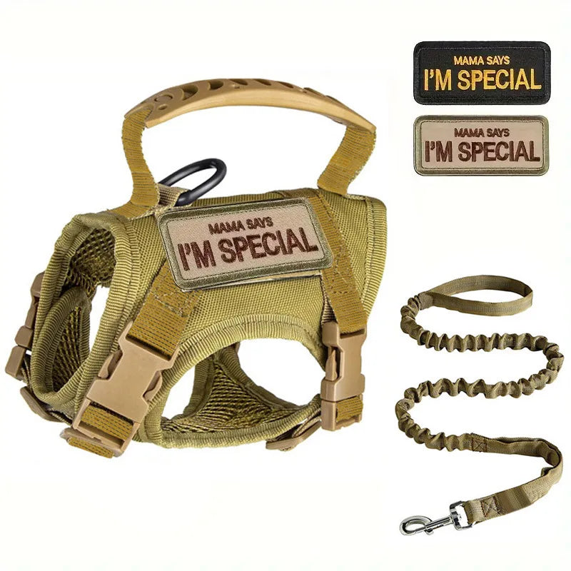 Tactical Military Vest Pet Tactical Training Cat Accessories Cat Dog Harness and Leash Set Kitten Accessories