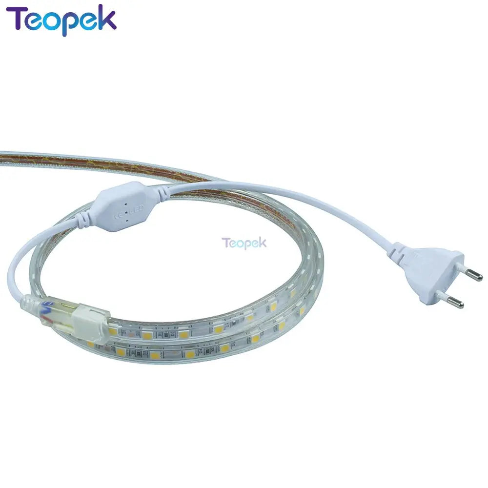 LED Strip 5050 60leds/m 220V Waterproof Flexible LED light Tape 220V lamp Outdoor String With Power Plug 1M 3M 5M 10M 15M 20M