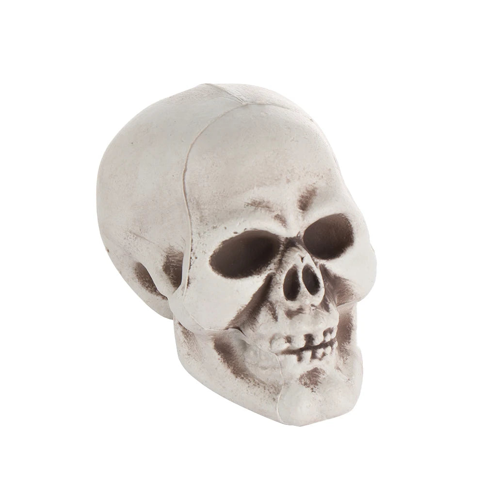 1PC Fashion Terrible Halloween Props Skull Head All Size Plastic Human Skeleton Party Decoration Game Supplies Hanging Decor