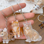 Pet Fur Keepsake Capsule Keychain, Transparent Souvenir Gift for Pet Lovers