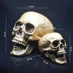 Skull Decor Prop Skeleton Head Plastic 1:1 Model Halloween Style Haunted House Party Home Decoration Game Supplies High Quality