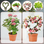2pcs Metal Stackable Garden Trellis Plant Cage & Supports  for Decorative Vines Flowers Ivy Plant Support (Heart, 9.5in)
