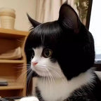 Cat Wig Dog Headdress Funny Cosplay Costume, Cute Pet Props Head Accessories