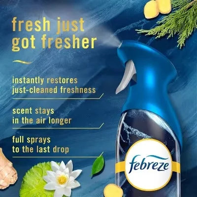 Air Freshener Spray - Ocean Scent - 8.1 Oz: Aerosol, Dye-Free, Phthalate-Free, Suitable for Indoor Spaces