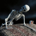 Posable Halloween Human Skeleton Prop Lifelike Skull Bones Scary Decoration for Haunted House Theme Party Cosplay Event Decor