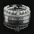 Luxury Set Crown Charms Man Bracelet Roman Stainless Steel Women Bangles Hand Jewelry Valentine's Day Gift