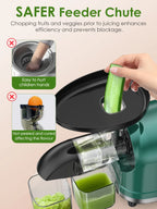 Slow Masticating Cold Press Juicer, Reverse Function Quiet Easy Clean High Yield Juice Extractor for Home Fruit Vegetable