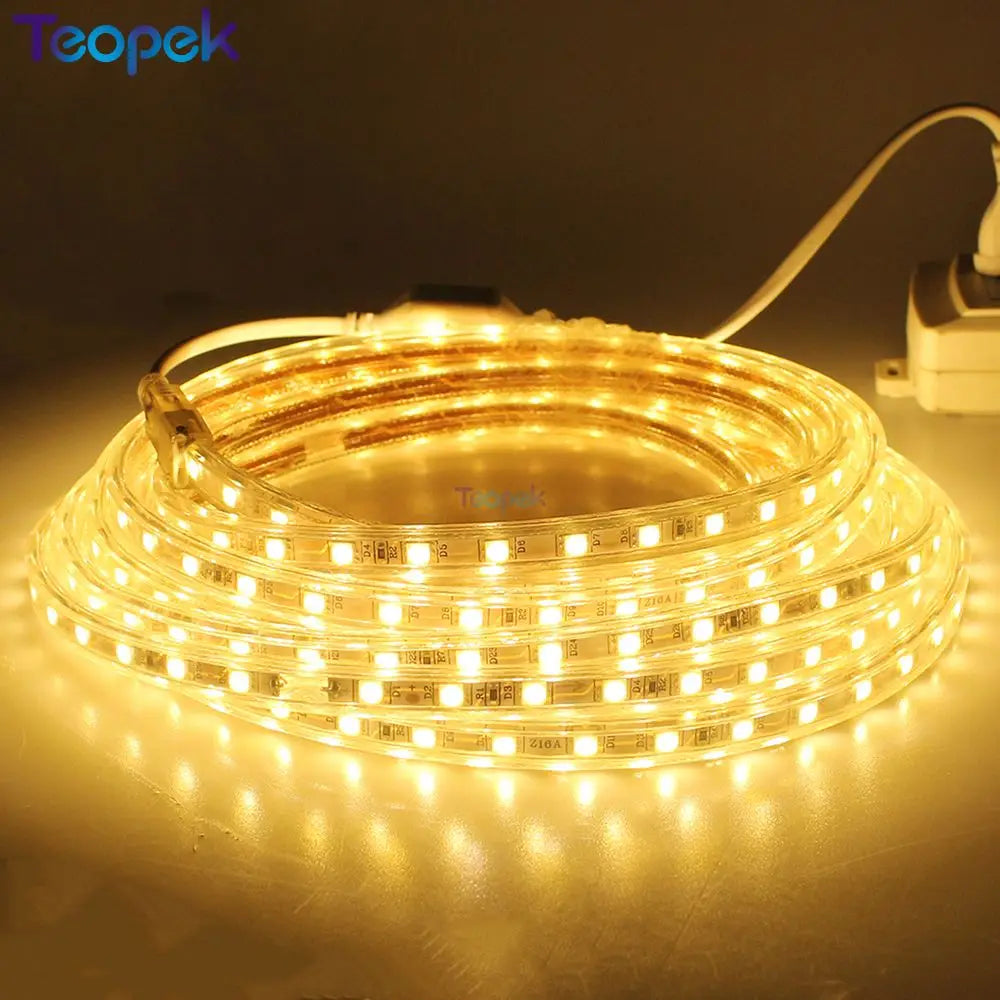 LED Strip 5050 60leds/m 220V Waterproof Flexible LED light Tape 220V lamp Outdoor String With Power Plug 1M 3M 5M 10M 15M 20M
