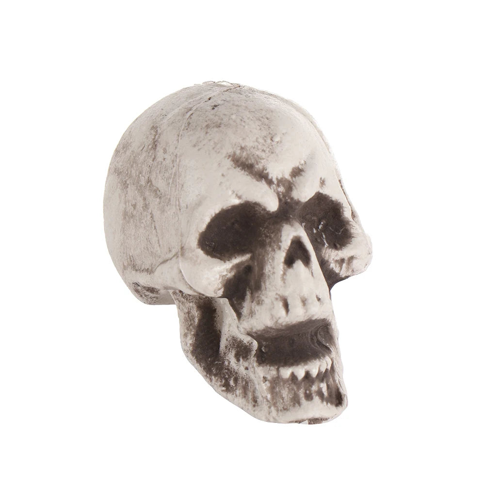 1PC Fashion Terrible Halloween Props Skull Head All Size Plastic Human Skeleton Party Decoration Game Supplies Hanging Decor