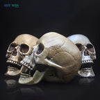 Skull Decor Prop Skeleton Head Plastic 1:1 Model Halloween Style Haunted House Party Home Decoration Game Supplies High Quality