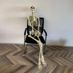 Full Life Size Haunted House Movable Skeleton Prop with Poseable Fake Human Skull Bones for Halloween Party Decoration