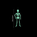 Scary Halloween Props Luminous Hanging Skeleton Halloween Party Home Outdoor Yard Garden Decoration Movable Glow Fake Skull