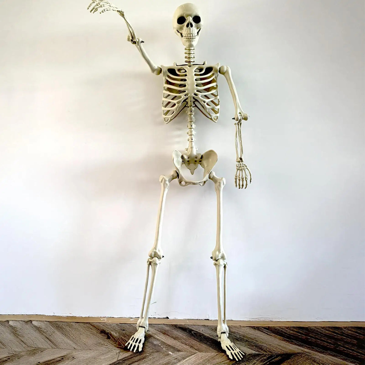 Full Life Size Haunted House Movable Skeleton Prop with Poseable Fake Human Skull Bones for Halloween Party Decoration