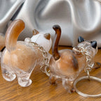 Pet Fur Keepsake Capsule Keychain, Transparent Souvenir Gift for Pet Lovers