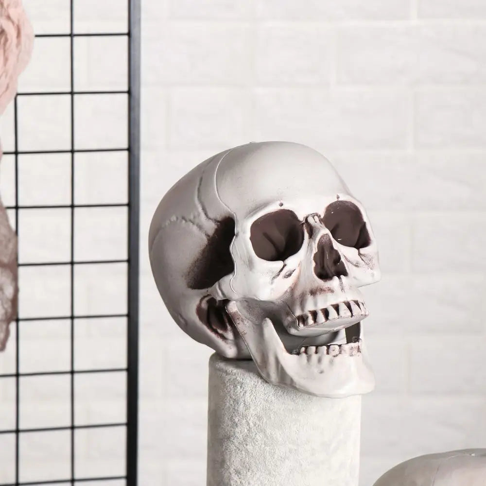 1PC Fashion Terrible Halloween Props Skull Head All Size Plastic Human Skeleton Party Decoration Game Supplies Hanging Decor
