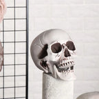 1PC Fashion Terrible Halloween Props Skull Head All Size Plastic Human Skeleton Party Decoration Game Supplies Hanging Decor