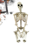 Full Life Size Haunted House Movable Skeleton Prop with Poseable Fake Human Skull Bones for Halloween Party Decoration