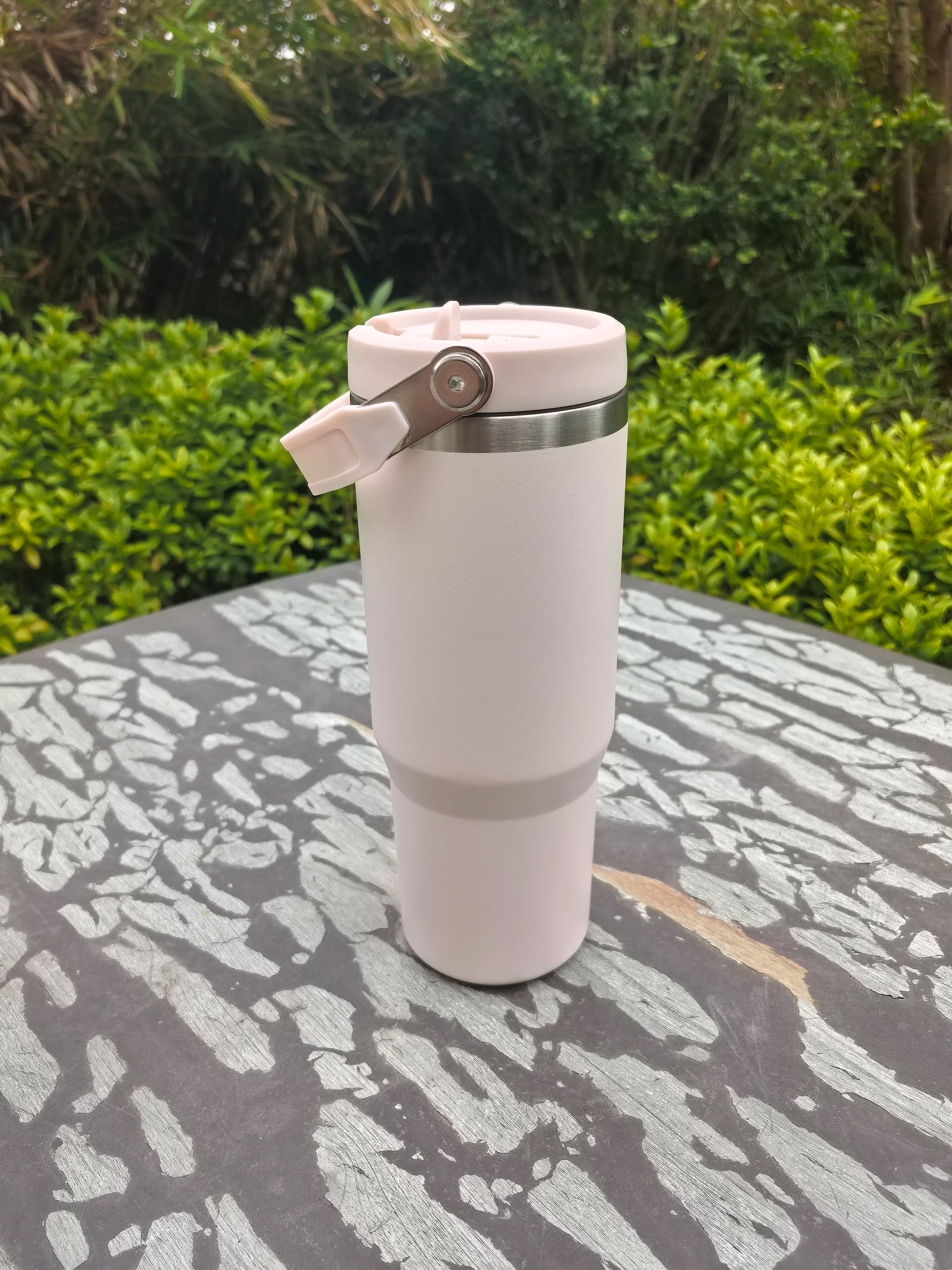 30oz Stainless Steel Vacuum Insulated Tumbler with Handle Straw for Travel Outdoor