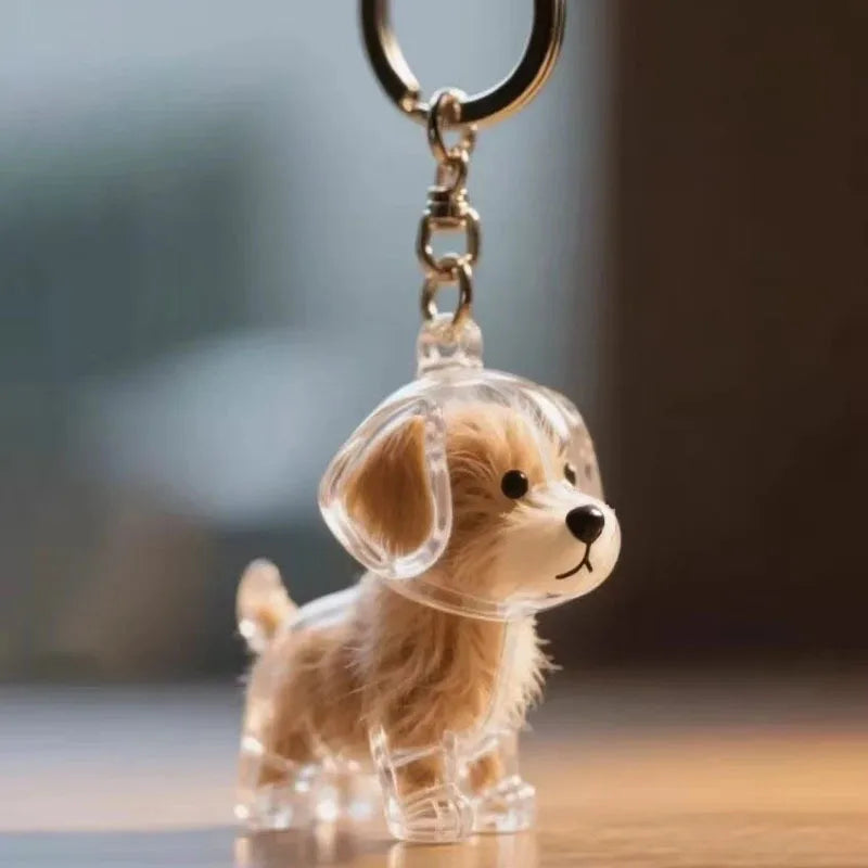Adorable Pet Fur Storage Ornament Creative Cat Hair Collection Capsule Keychain Unique Keychain Trendy Souvenir for Pet Lover