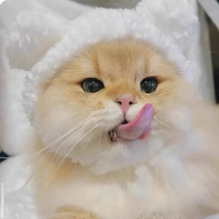 Cute animals Hooded Pet Cat Dog Accessories Cosplay Cat Hat Winter Lovely New Year Puppy Headgear Soft Velvet Pets Supplies