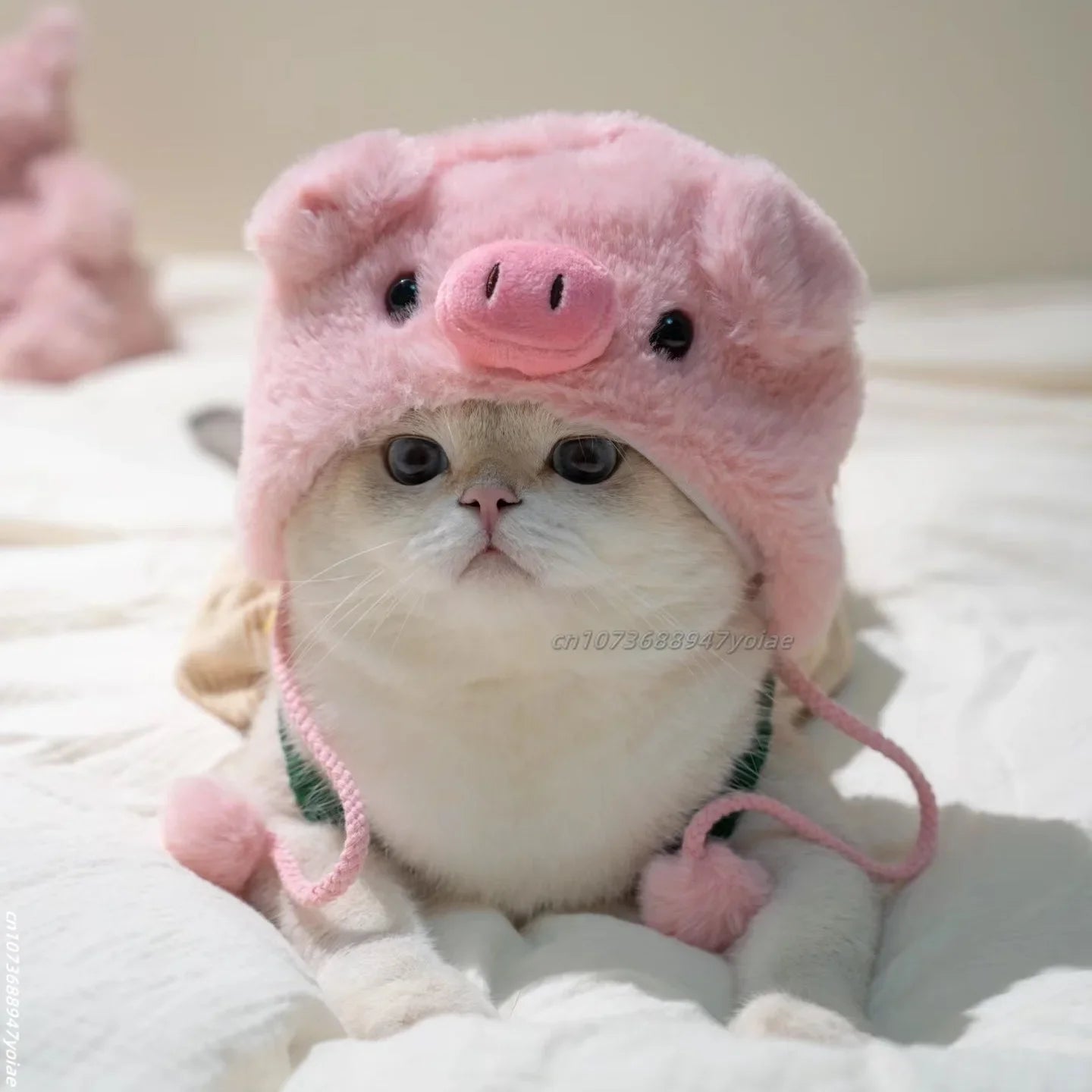 Cute animals Hooded Pet Cat Dog Accessories Cosplay Cat Hat Winter Lovely New Year Puppy Headgear Soft Velvet Pets Supplies