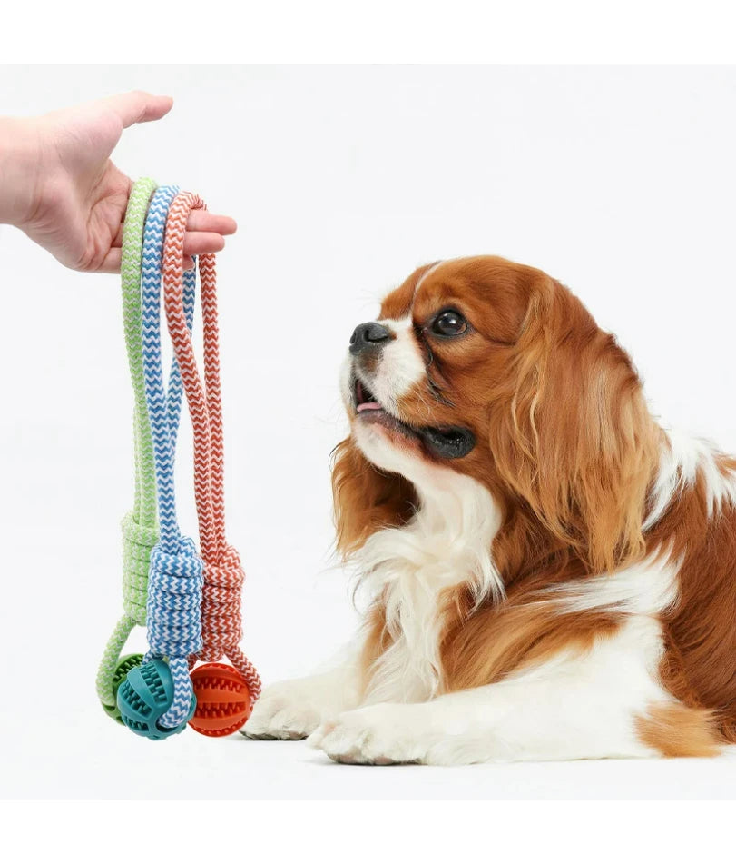 Dog Toy Ball with Rope for Feeding, Self-Entertainment, Boredom Relief, Durable Chew Toy, Pet Supplies
