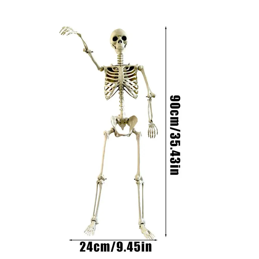 Full Life Size Haunted House Movable Skeleton Prop with Poseable Fake Human Skull Bones for Halloween Party Decoration