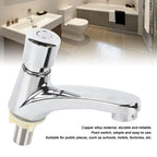 Time Delay Basin Sink Faucet Copper Alloy Push Switch Water Saving Tap for Home Kitchen Bathroom Hotel
