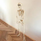 Halloween Realistic Body Bones Life Size Human Skeleton With Posable Joints Simulation Skull Ornament Haunted House Horror Props