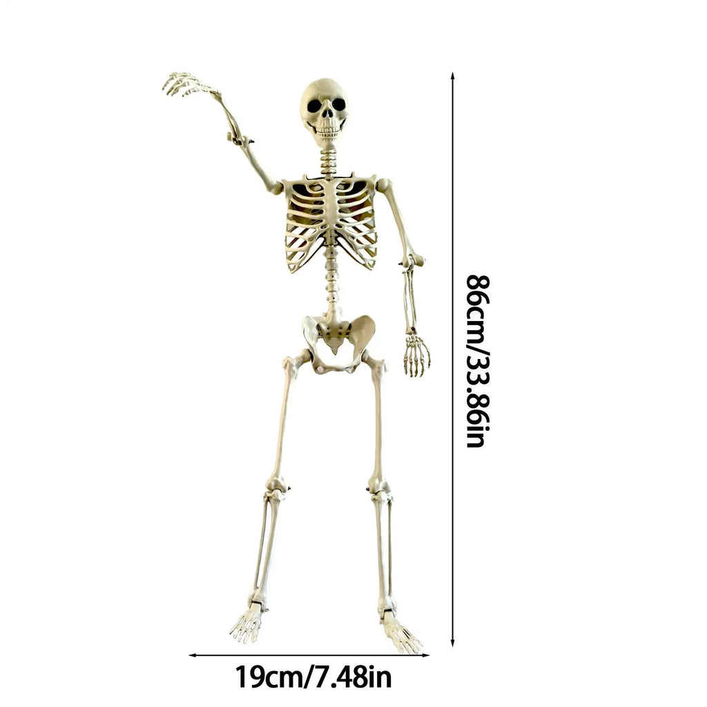 Full Life Size Haunted House Movable Skeleton Prop with Poseable Fake Human Skull Bones for Halloween Party Decoration