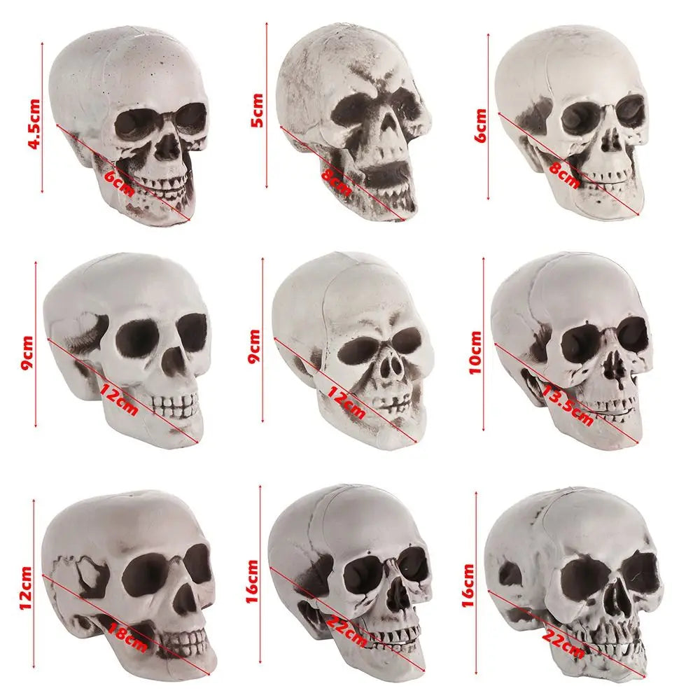 1PC Fashion Terrible Halloween Props Skull Head All Size Plastic Human Skeleton Party Decoration Game Supplies Hanging Decor