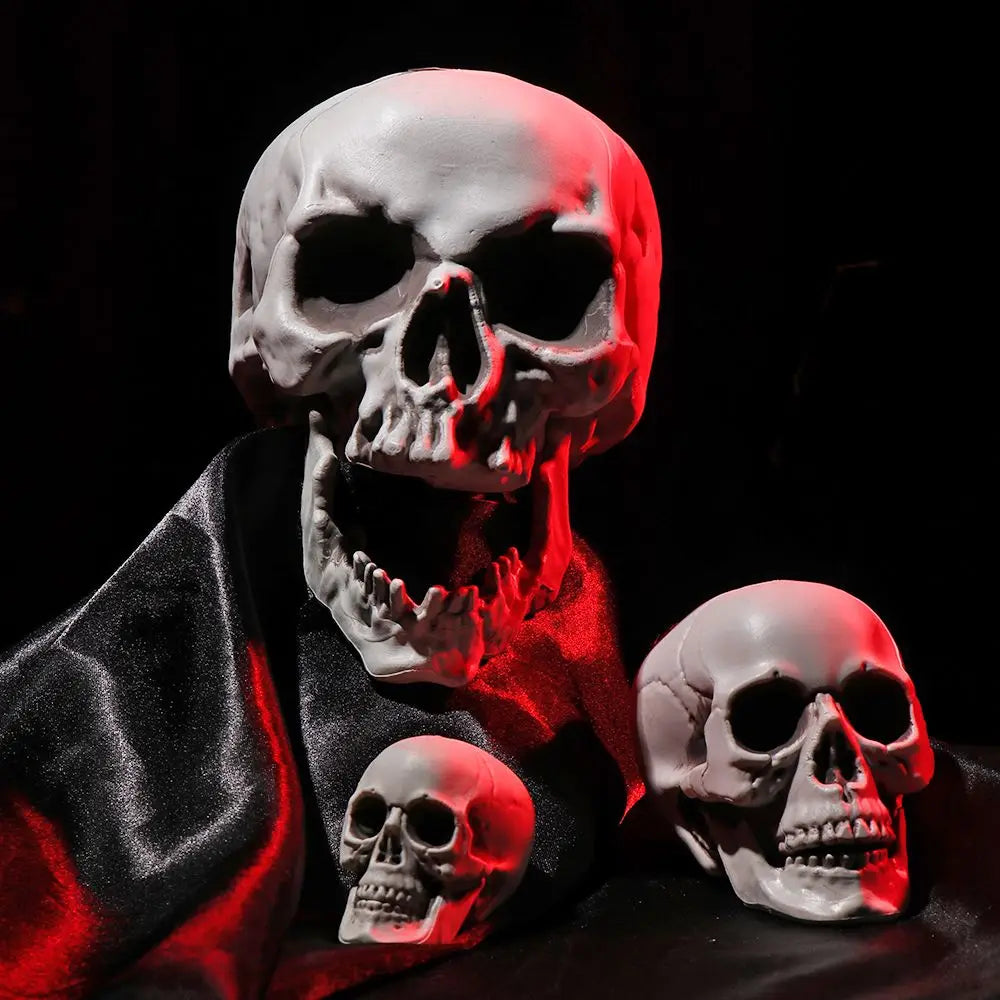 1PC Fashion Terrible Halloween Props Skull Head All Size Plastic Human Skeleton Party Decoration Game Supplies Hanging Decor